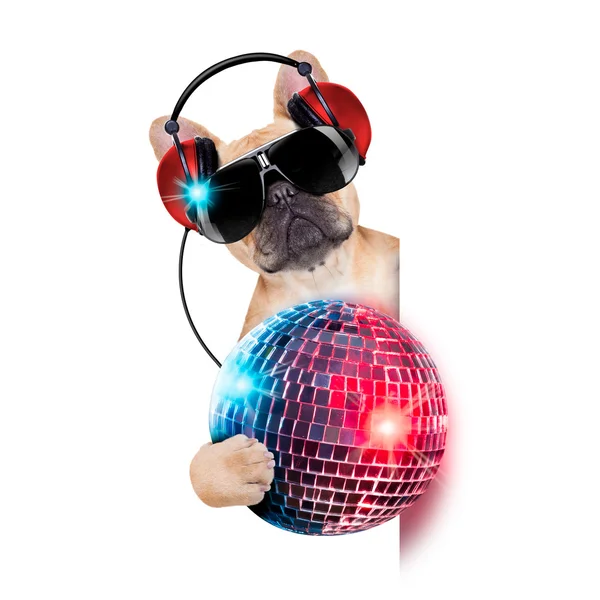 depositphotos_57578803-stock-photo-dj-disco-dog
